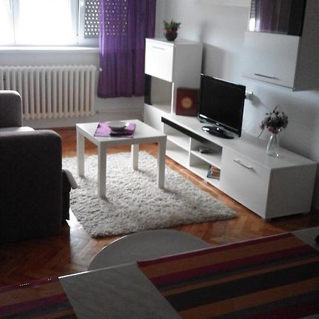 Tami Apartment Novi Sad Exteriér fotografie