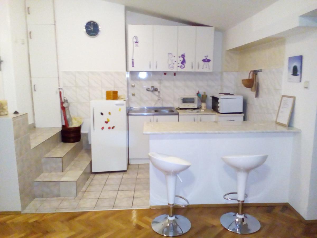 Tami Apartment Novi Sad Exteriér fotografie