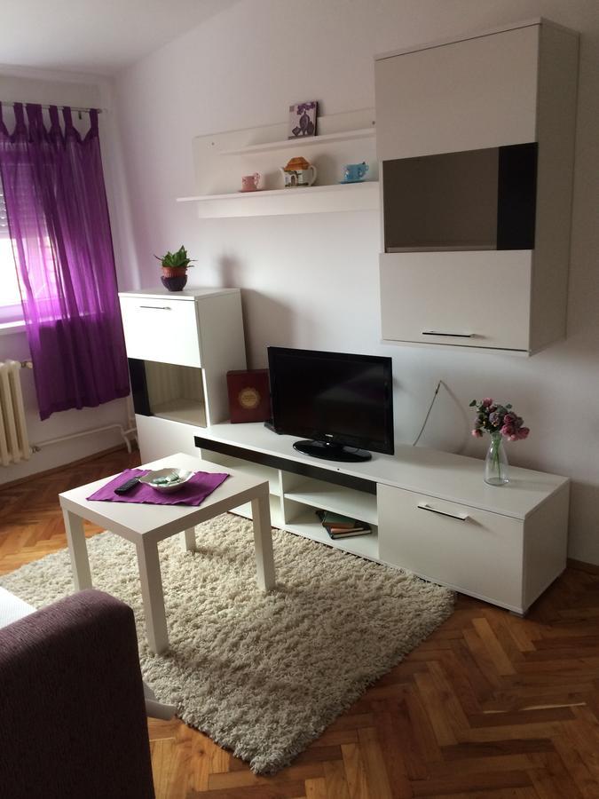 Tami Apartment Novi Sad Exteriér fotografie